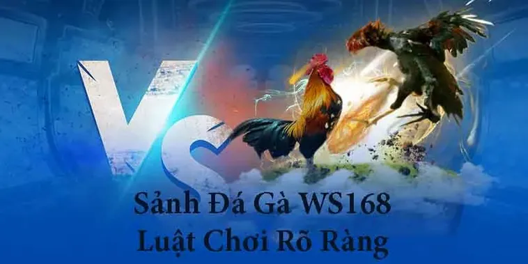 Hướng Dẫn Chi Tiết Cách Chơi Đá Gà WS168 Tại Go88 Hiệu Quả