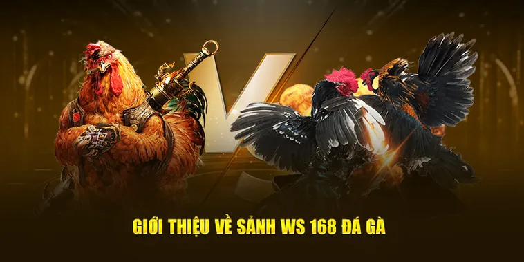 Hướng Dẫn Chi Tiết Cách Chơi Đá Gà WS168 Tại Go88 Hiệu Quả